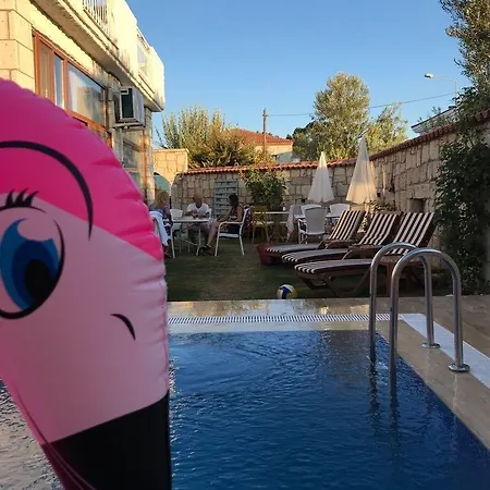 Ivy House Loca * אלאקאטי